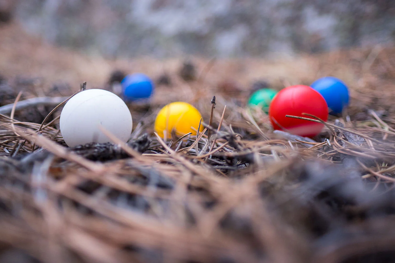 Backpack Bocce Ball - Image 4